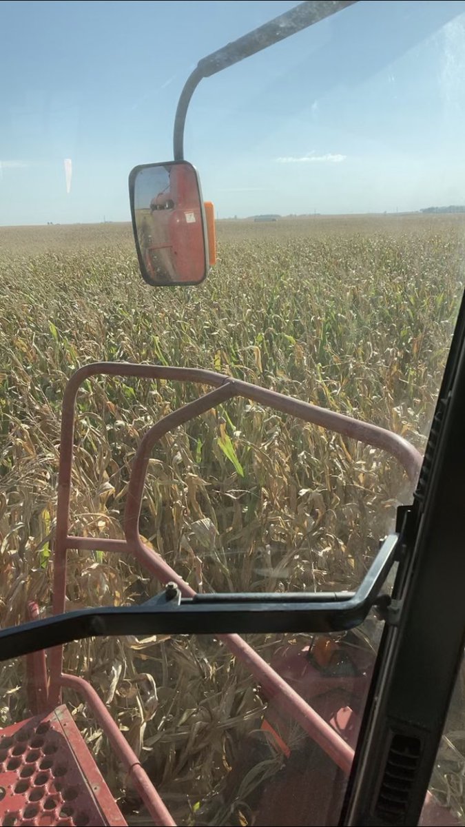austin_j88's tweet photo. 2 pass #Delaro and #DelaroComplete program showed up incredibly strong this year. Can you tell where the second pass was?  @AGDKC_ECIL #Bayer4IL https://t.co/i0qu5L6x4U
