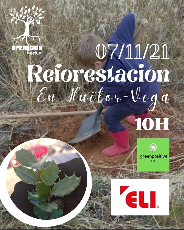 ACEIAndalucia's tweet photo. #educacionambiental #operacionencina #RSC

👉 ¿Te sumas a #germinatingthefuture 🌳🌳 el próximo 7 de noviembre? Primera operación de #reforestación 🌳🌳🌿 del año de  @Eli_HuetorVega y @operacionencina 👏👏

¡Te esperamos! 😉 https://t.co/kr4z3FadKh