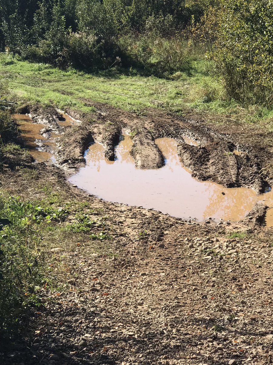 Ms. Mel SMES Pre-Primary tweet media