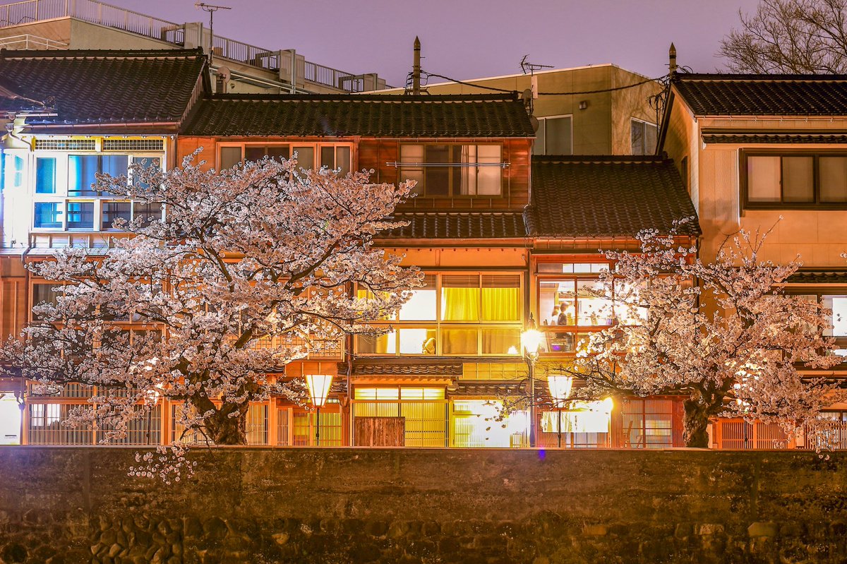 やすてぃ🍥 tweet media