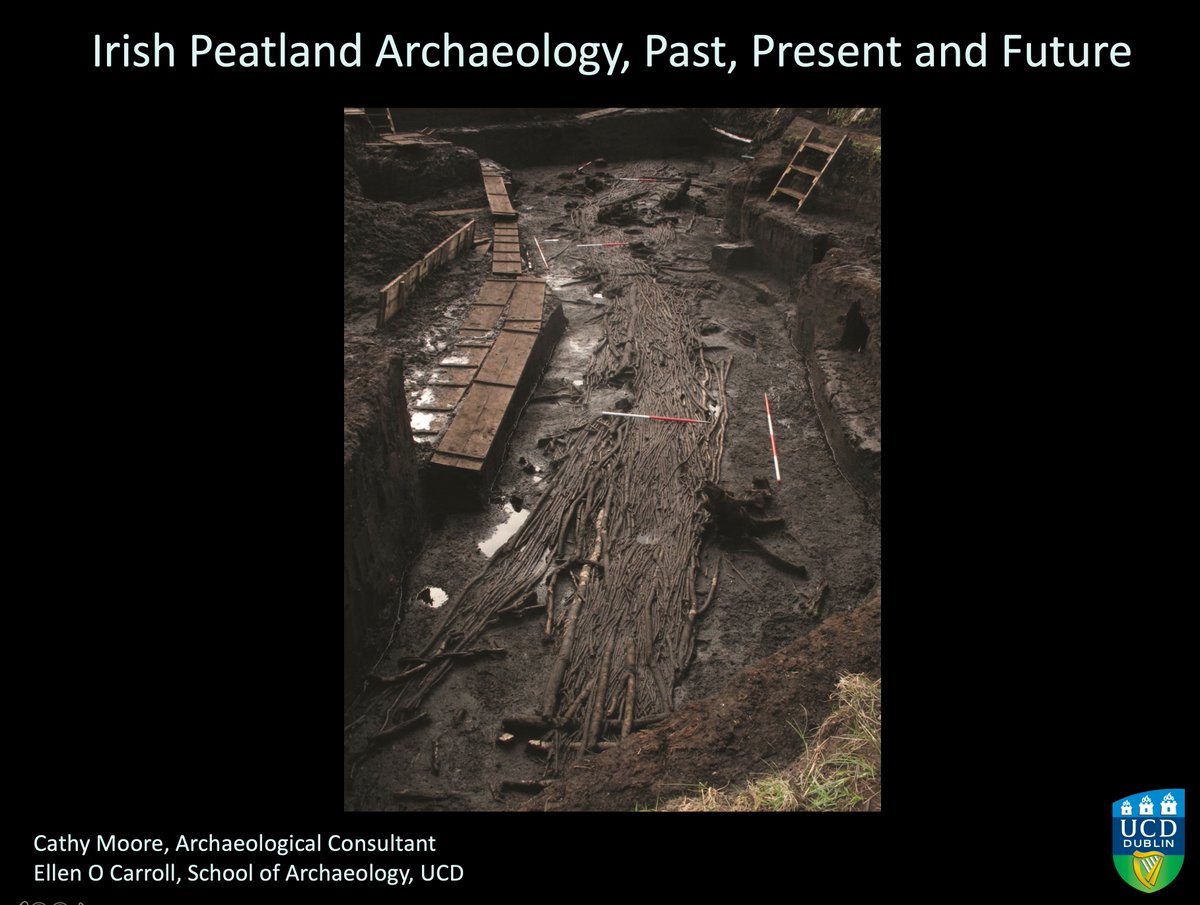 Aidan O’Sullivan (@aidanosulliva15) on Twitter photo Cathy Moore and Dr Ellen O Carroll conclusions are disappointing & urgent <a href="/noonan_malcolm/">Malcolm Noonan</a> 
"Ireland should be a world leader in peatland archaeology but sadly we are far from it, and we say that as peatland archaeologists. This is our last chance." #PeatlandsGathering2021 5/5 Cathy Moore and Dr Ellen O Carroll conclusions are disappointing & urgent <a href="/noonan_malcolm/">Malcolm Noonan</a> 
"Ireland should be a world leader in peatland archaeology but sadly we are far from it, and we say that as peatland archaeologists. This is our last chance." #PeatlandsGathering2021 5/5