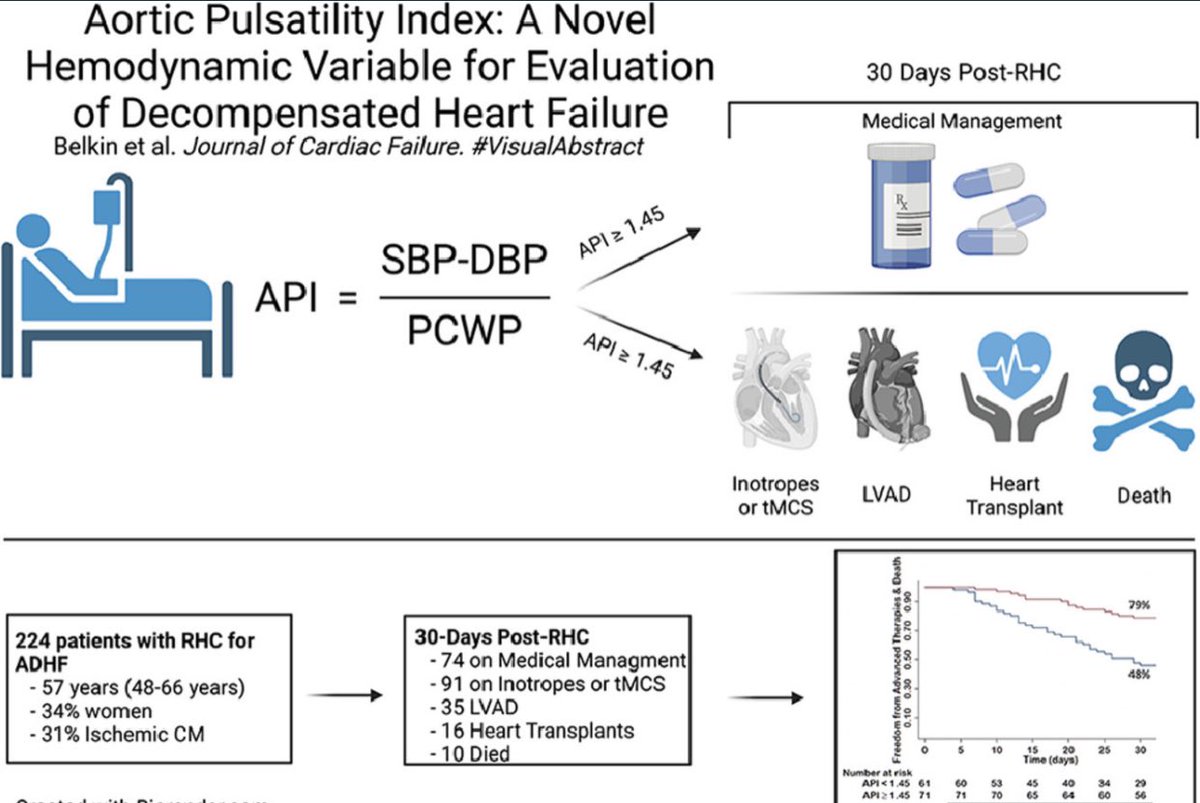 👉🏽PAPI developed by <a href="/NavinKapur4/">Navin Kapur</a> changed our worlds in trying to at least partially capture RV fcn. 

📣🥁Introducing API - aortic pulsatility index:
SBP-DBP/PCWP for risk stratification <a href="/JCardFail/">Journal of Cardiac Failure</a> in acute HF 👇🏽
#FunctionNotFailure <a href="/HFSA/">HFSA</a> <a href="/MarkBelkinMD/">Mark Belkin</a> <a href="/JonGrinsteinMD/">Jon Grinstein MD</a> <a href="/NirUrielMD/">Nir Uriel, MD MSc</a>
