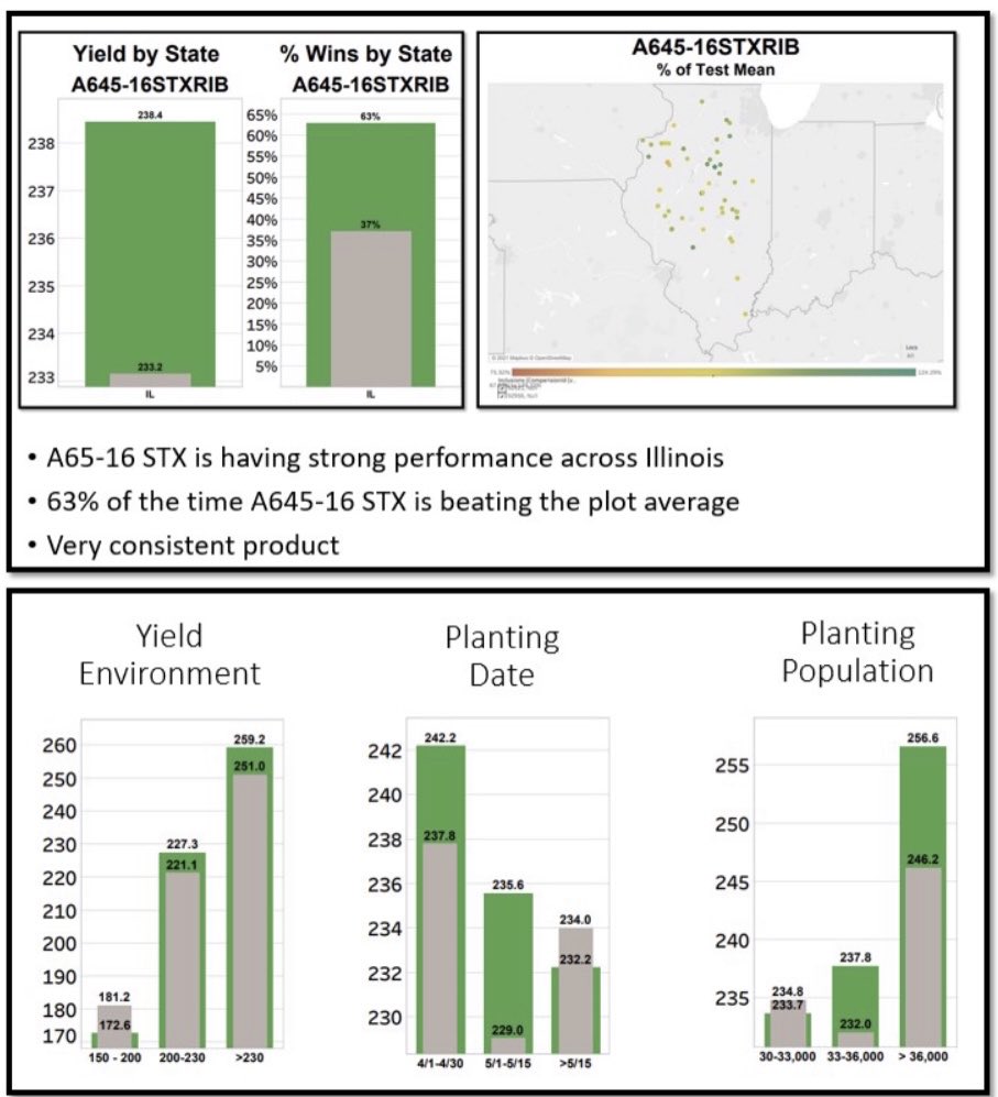 Todd Steinacher CCA tweet media