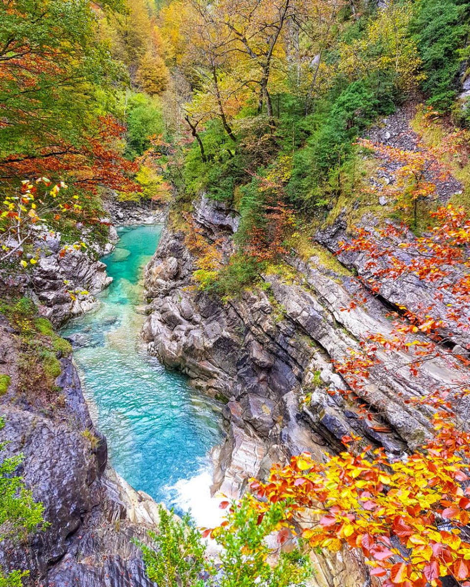 Huescaturismo's tweet photo. 6 Razones para venir a Huesca 💚 en el puente del pilar
-Rica gastronomía 🍳
-Nuestras visitas guiadas 🤓
-Comercio local donde comprar 🛒 productos típicos
-Colores 🍁 del Pirineo
-Castillos 🏰 de #Montearagón y #Loarre
-Hoteles 🔝 mejor valorados de #España según Booking. https://t.co/dCYk6xm23a