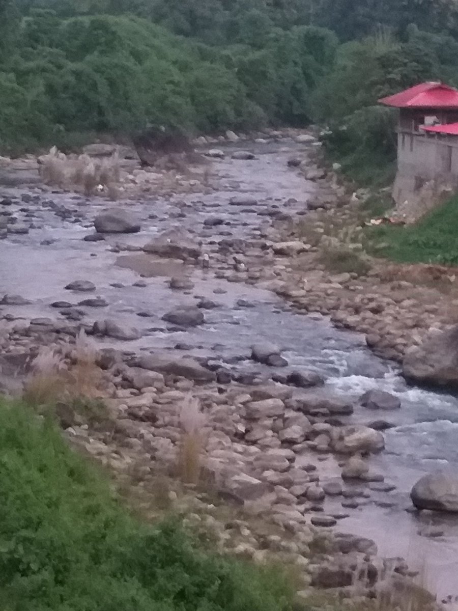 Human habitations # at the both Bank of Chengkhi River ItanagarArunachal Pradesh
 #Threatening the optimum uses of River
#Its needs Proper treatment for future uses. https://t.co/g2pdZeWCMK