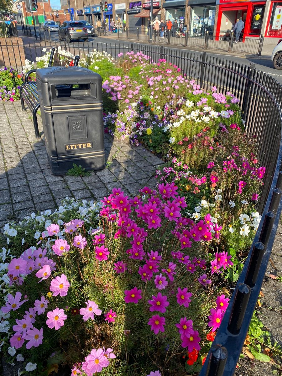 SunderlandUK's tweet photo. 🌺Washington Village &amp; @LetsTalkSARA  have won in the Northumbria in Bloom awards🌼

Washington Village won Best Overall Entry, won gold in the Best Village award &amp; for Best Residential Community.

@LetsTalkSARA won the'thriving' award in the 'It's your Neighbourhood' category. https://t.co/ZKb2l6Mj7S