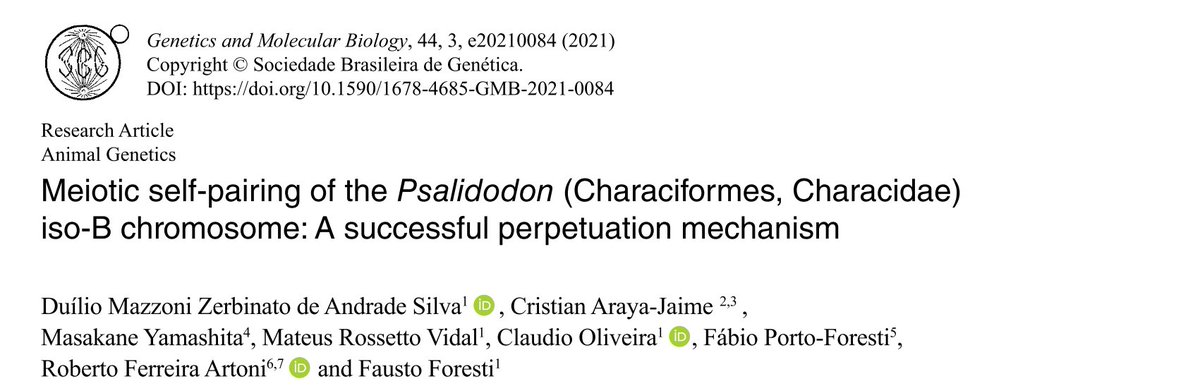 carayaj's tweet photo. Our most recent contribution to the study of the meiotic behavior of B chromosomes in the genus #Psalidodon (ex Astyanax), using #inmunodetection #InmunoFISH. @duilio_sil @meiosis_papers @userena @VipulsOficial @CienciasULS 
https://t.co/lIMKqSyXky https://t.co/wFfqck3ML0