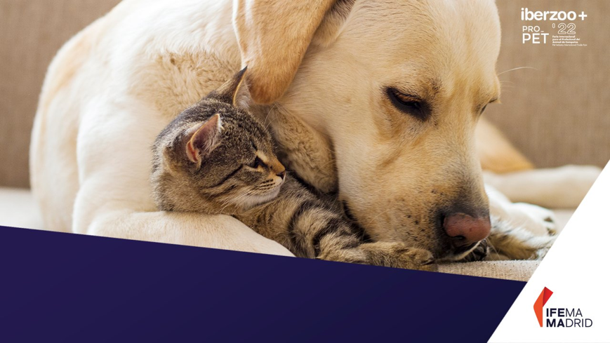 IFEMAUKIRELAND's tweet image. The pet sector has risen by 25% in Spain, according to Trade.gov 🐶
#IberzooPropet21 returns on March 10-12 with 409 participating companies. 

Click here to register: ifema.es/en/iberzoo-pro…

#Madrid #PetSector