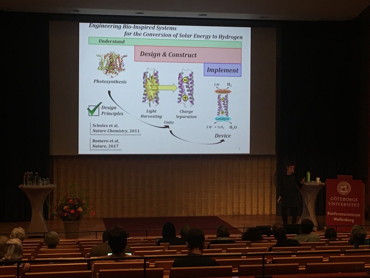AlizeeMalnoe's tweet photo. 🚨Elisabet Romero is hiring PhD &amp; Postdoc @ICIQchem bio-inspired chromophore-protein assemblies for 🌞 conversion to ⛽️ Amazing person to work with 🤩 #academicjobs #AcademicChatter #NPC15 @photocongress https://t.co/2Rziyo3GtF