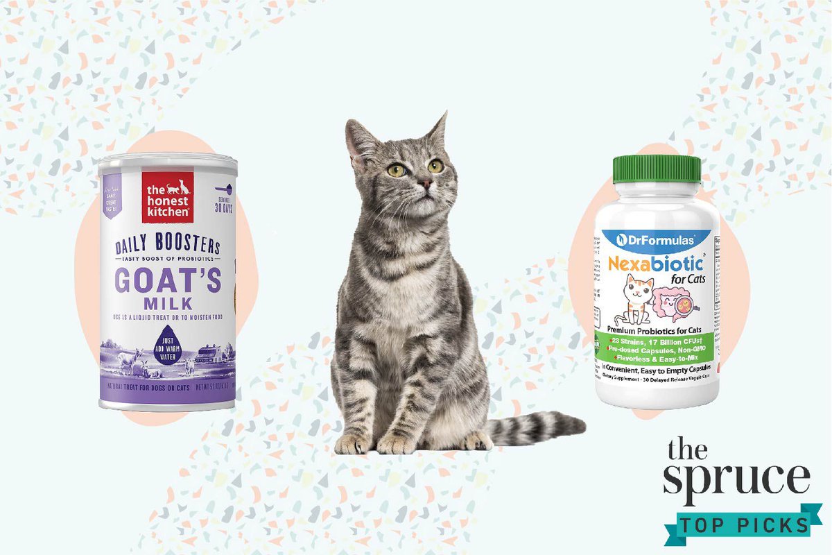 Have you heard about the many health benefits of taking probiotic supplements? They’re also great for promoting your cat’s optimum health too. 

I'm so thankful to write for The Spruce and help you be better a pet parent!

https://t.co/YPgY8BIx9S https://t.co/ODDmVcIiLG