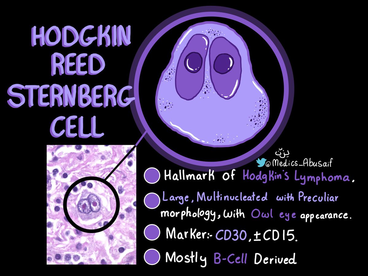 ملخصات Oncology او علم الاورام، واضح ان الموضوع مثير اهتمامي؟😂