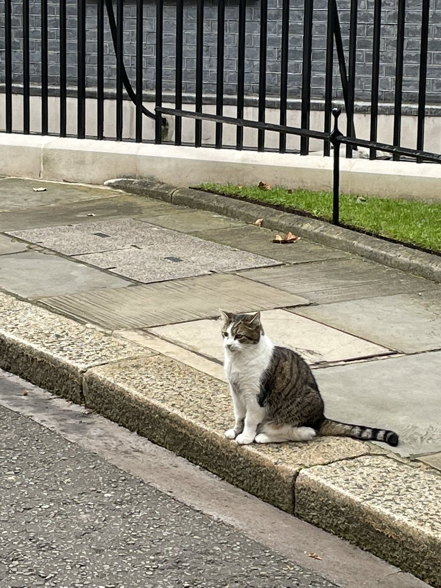 Excellent meeting with Larry 🐈‍⬛.