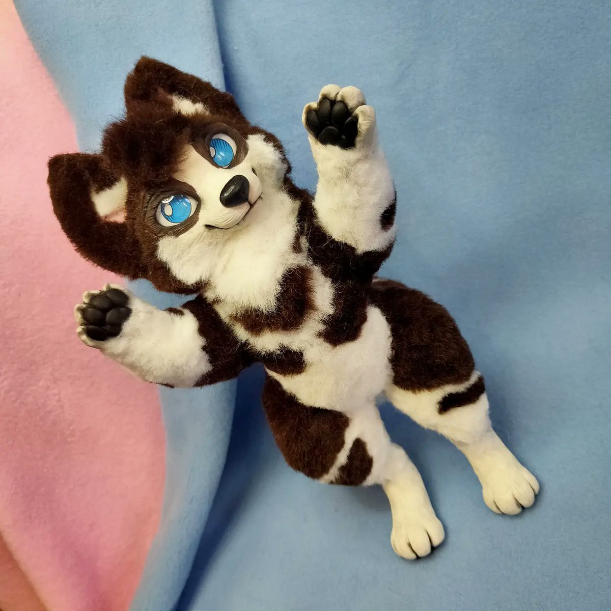 CatKrafi's tweet photo. Remy πππ husky/wolf
Custom poseable artdoll with soft poseable ears! π€© Do you like it? π₯°β¨
-
-
-
#artdoll #polymerclay #customdoll #poseabledoll #poseableartdoll #glasseyes #furryfandom #furryartist #furryart #furry #furrycommission #furrydogs #furrydog #artdolldog https://t.co/eNohfvBfY3