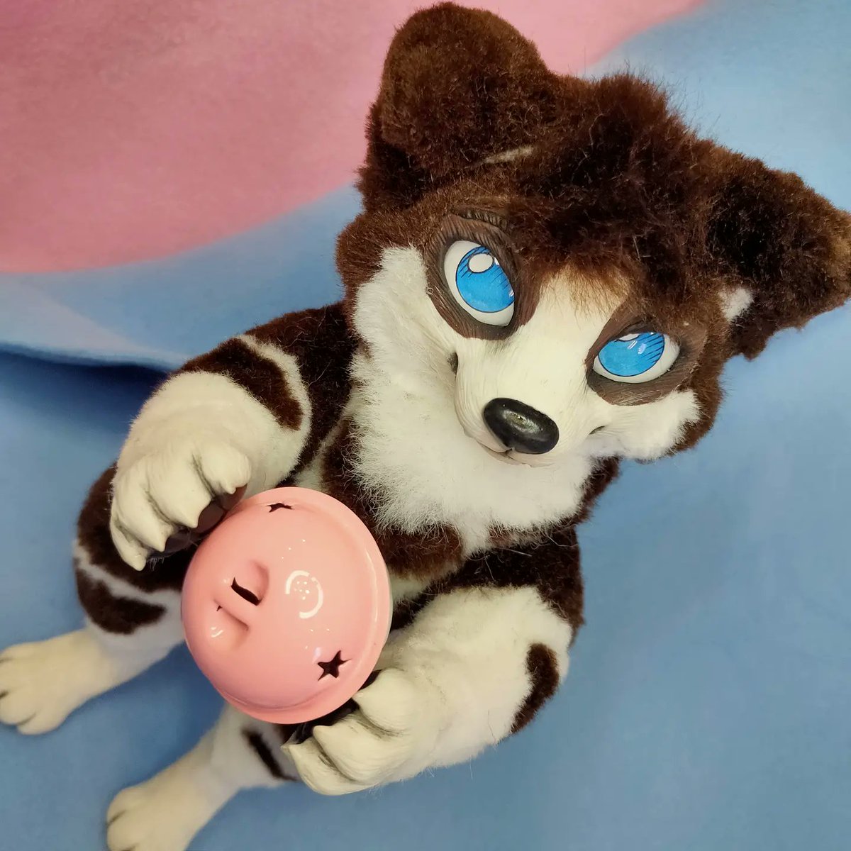 CatKrafi's tweet photo. Remy πππ husky/wolf
Custom poseable artdoll with soft poseable ears! π€© Do you like it? π₯°β¨
-
-
-
#artdoll #polymerclay #customdoll #poseabledoll #poseableartdoll #glasseyes #furryfandom #furryartist #furryart #furry #furrycommission #furrydogs #furrydog #artdolldog https://t.co/eNohfvBfY3