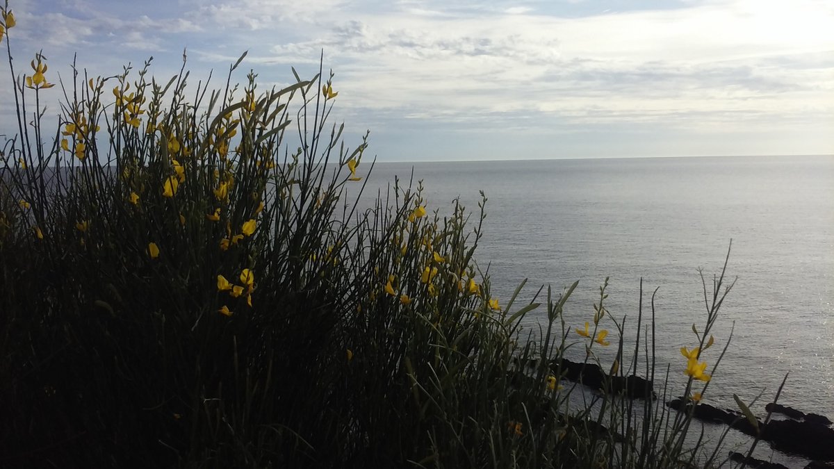 ¡Este verano viví Casapueblo, en Punta del este!🔥
Para más información envianos tu consulta por Whatsapp +598 98 011 598📲 o hacé click acá api.whatsapp.com/send?phone=598…
.
#uruguay #uy #casapueblo #puntadeleste