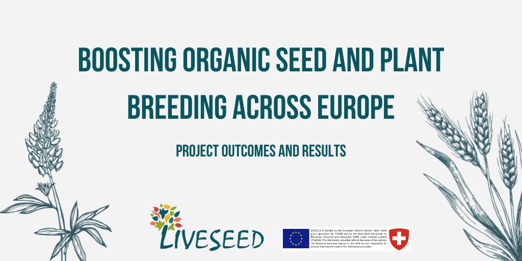 The #LIVESEED project recently ended. It was a long journey, full of challenges & satisfaction. To crown it, we developed a booklet providing an overview of 🔑 problems of #OrganicSeed production and project outcomes & results. Enjoy the reading! bit.ly/3aieXba