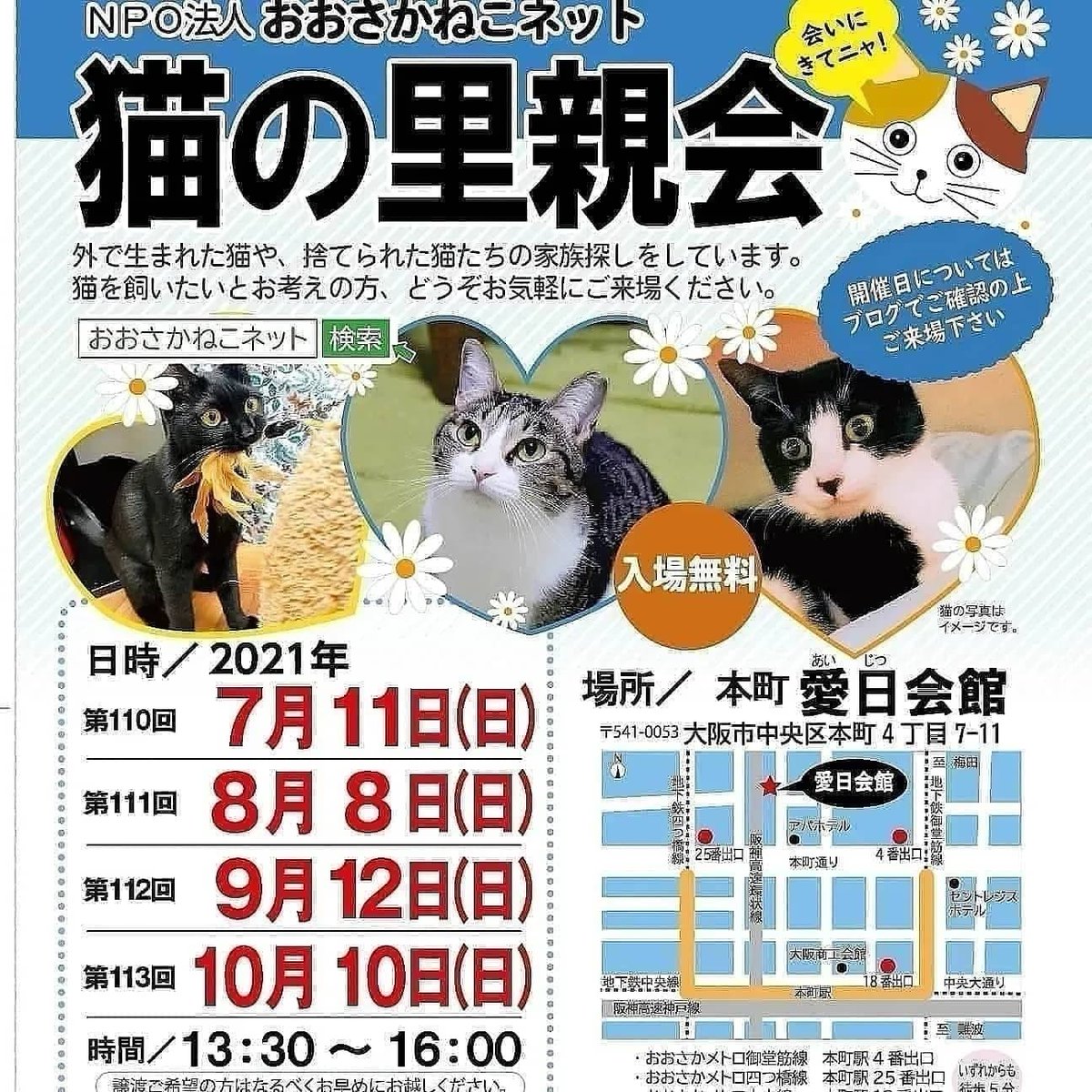 SAVE CAT CAFE【里親募集中】 (@savecatcafe)  Twitter