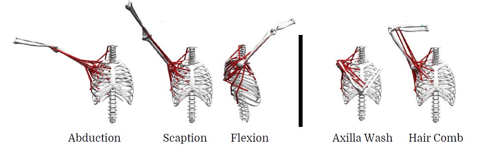 JenNicholsPhD's tweet photo. Our lab is excited to be in-person at #BMES2021! Check out @UFBME Ph.D. candidate Sarah Barron's (@SarahMBarron13) poster on musculoskeletal shoulder models!  She is presenting in Poster Session F (#49) on Oct. 9 at 3:00 pm. https://t.co/QBYoyDUlXg