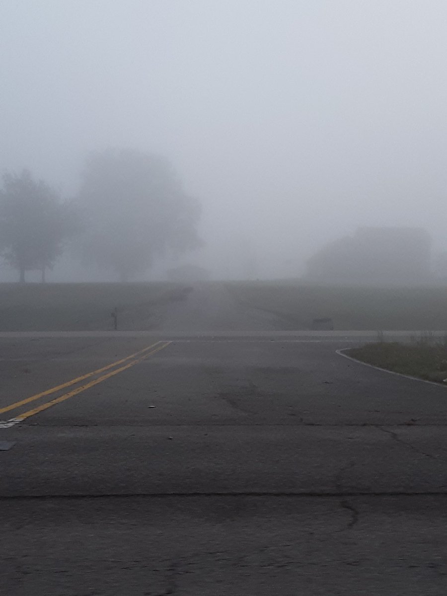 tlc_1212's tweet photo. This is a little heavier than patchy fog, like I heard from the radio. Heavy fog in Alcorn Co. Hwy 45 S. @Weather_WREG3 @Toddon3_WREG @AOnek_WREG3 @RonChilders @WTVAWeather @NWSMemphis @memphisweather1 https://t.co/0OFhvacfnY
