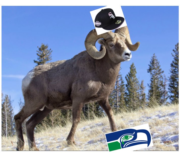 MJ_Maicke's tweet image. A lot going on today #GetRammed #PassionateSox