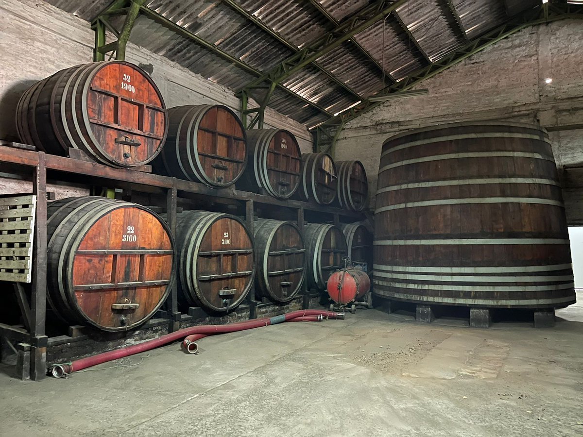 ProChile_Oh's tweet photo. Autoridades regionales encabezadas por el @DPROhiggins, @RicardoGuzman, la directora de @ProChile_Oh @joakinarriagada y @Al_AlvarezV visitaron la viña @LaRonciereWines para el lanzamiento del concurso #Silvoagropecuario 2022 de @ProChile en apoyo a nuestras  exportaciones https://t.co/vxLM5dZzYs