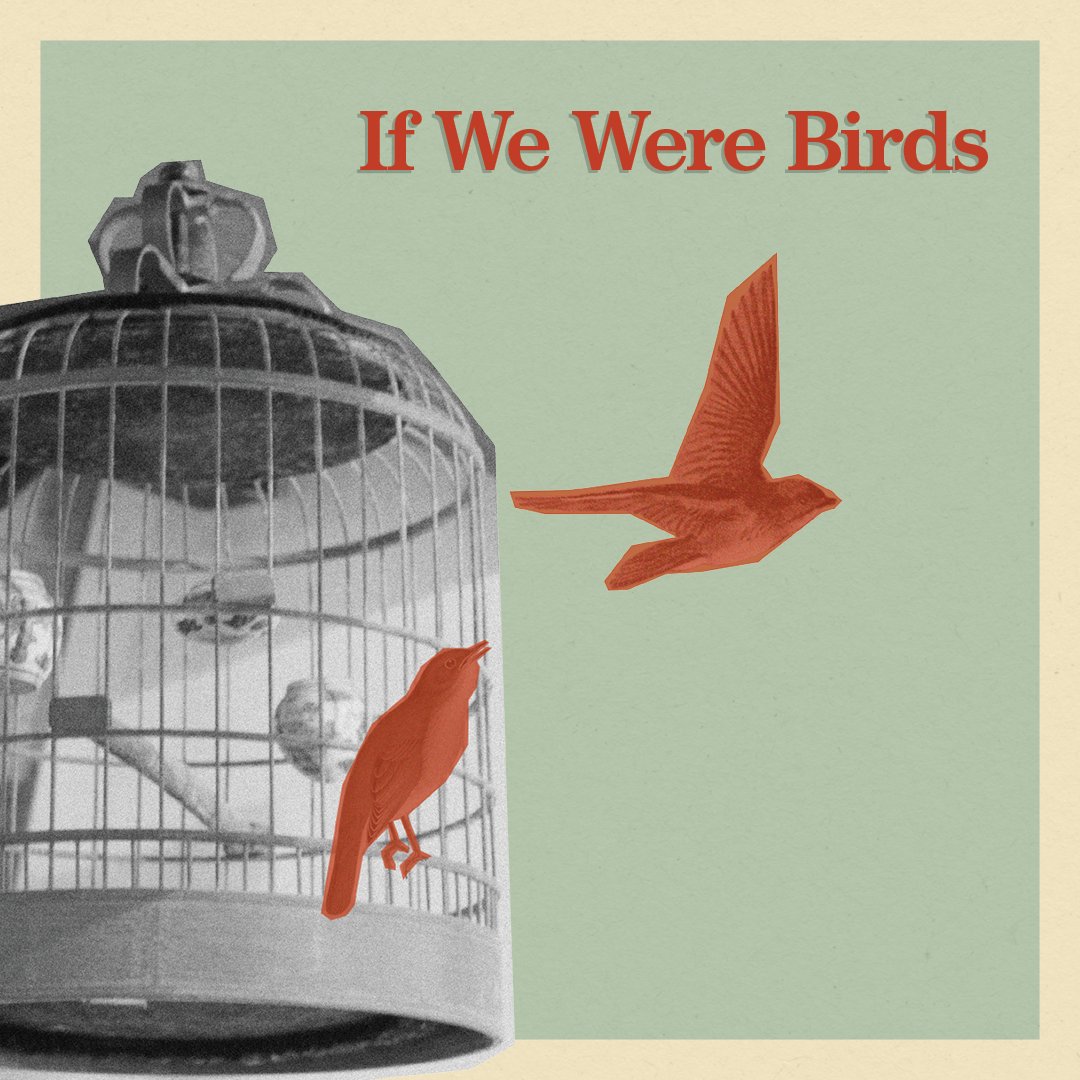 am800_cklw_'s tweet photo. Don't miss @UPWindsor 's 63rd season opener "If We Were Birds" Oct 22-31!

In a combination of live and recorded performance, the show examines the horrors of war and the effect on generations of women who have been traumatized and silenced.

Tickets: https://t.co/70YkrAO1XR https://t.co/bd3XjwAS1M