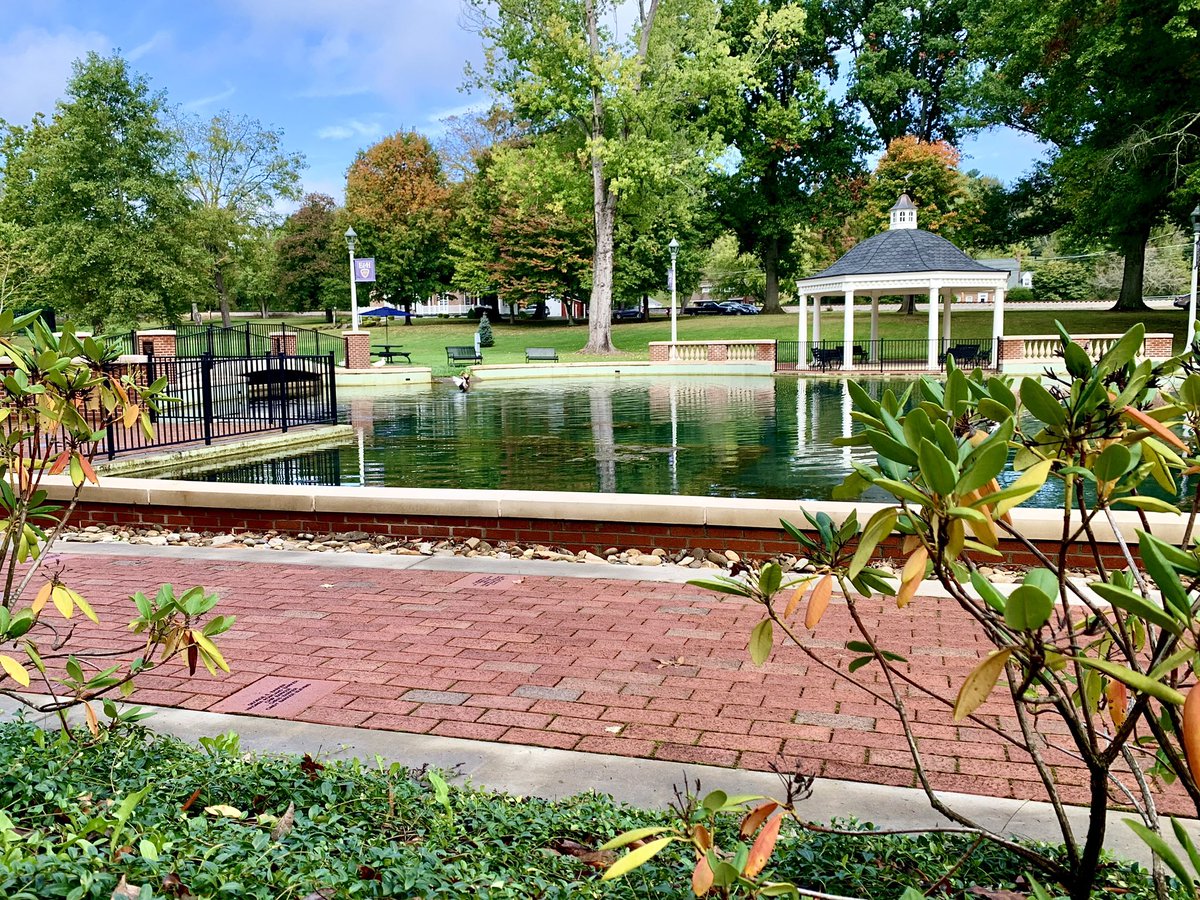 emoryhenry1836's tweet image. 🍂Happy Fall Break 🍁 The colors are showing off on campus and we hope you get to take time and recharge and enjoy! #emoryandhenry #youcan #fall #campus #campusbeauty