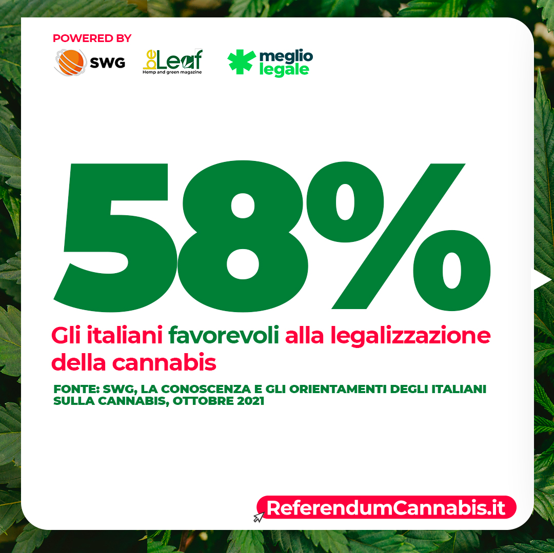 ReferendumCannabis.it tweet media