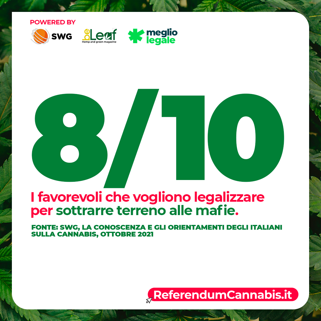 ReferendumCannabis.it tweet media