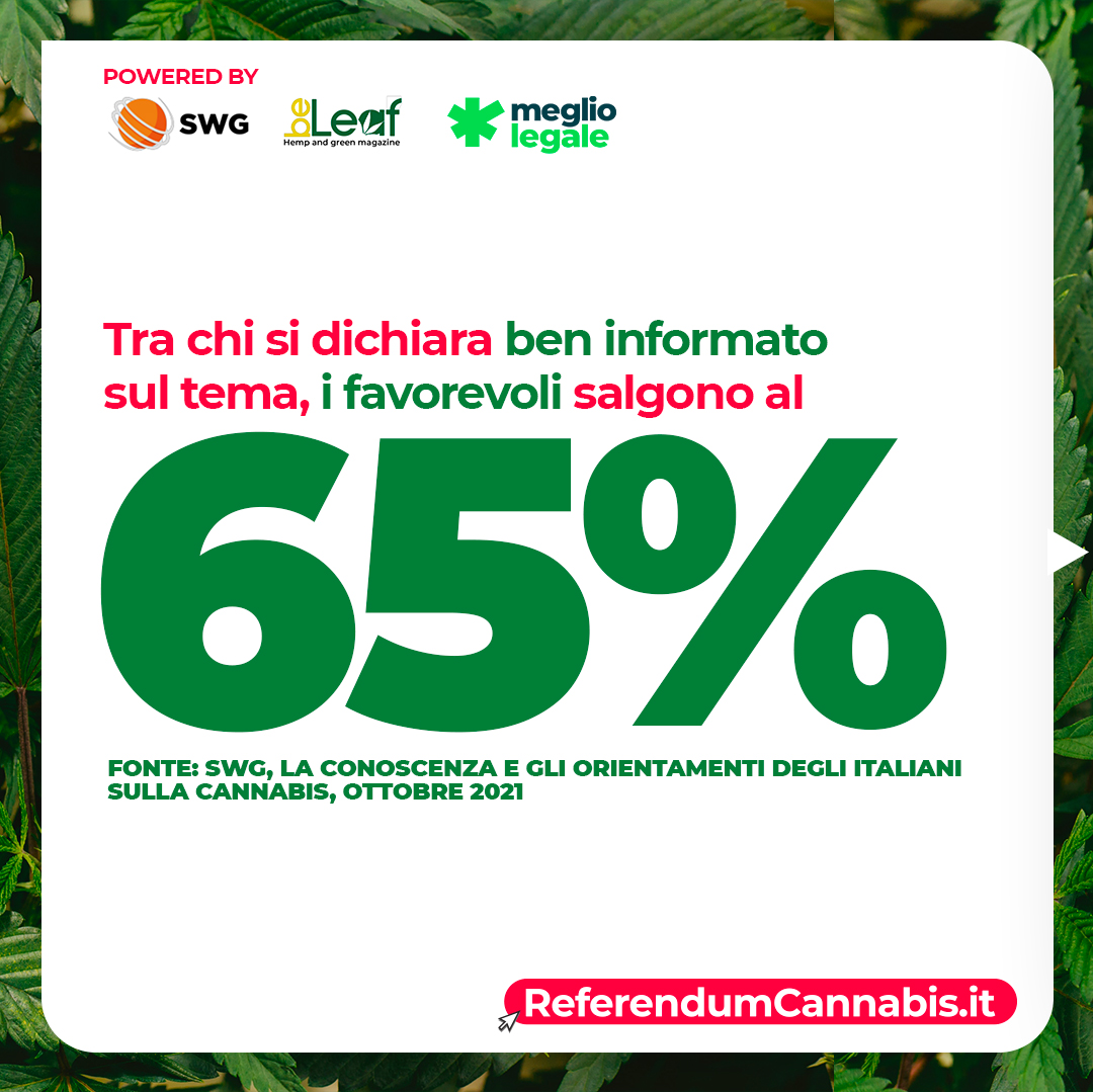 ReferendumCannabis.it tweet media