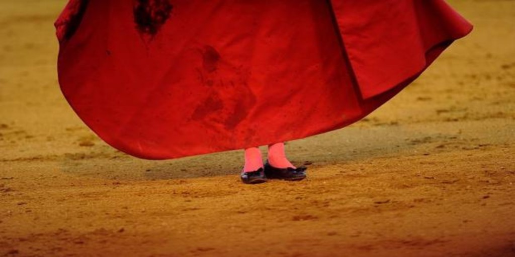 ABC_Toros tweet media