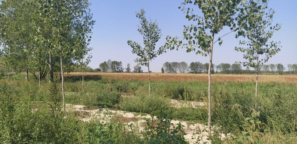 LegambienteLab's tweet photo. Il team di @LIFETerraEurope a Viadana in provincia di Mantova dove @Legambiente, unico partner italiano di #LifeTerra, pianterà diverse specie di #alberi 🌳Iscriviti alla newsletter per info sugli eventi👉https://t.co/CTu8qb8lLg
#Letsplantogether #ClimateActioNow @LIFEprogramme https://t.co/25qEOErI6K