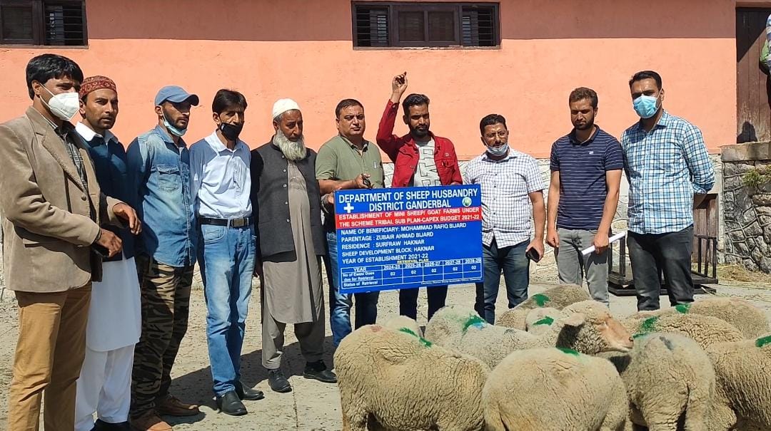 DSHOGanderbal's tweet photo. Establishment of 23 Mini Sheep farm units under Tribal Sub plan by Sheep Husbandry Dept. Ganderbal by the designated committee members in presence of worthy Joint Director Extension and DDC members of tribal community today
@DirSHDK 
@listenshahid
@dcganderbal
@CentreGanderbal https://t.co/ERCeFHVKqT