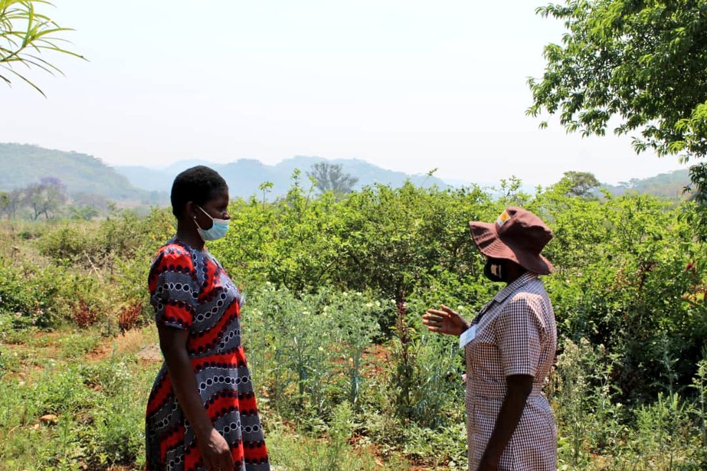 Working on the Rural Friendship Bench in Zaka with some amazing passionate dedicated Village Health Workers... is not for the faint hearted. 

Travel is long &amp; bumpy BUT the destination is so worth it in the end.

This road 👇 to this destination 👇