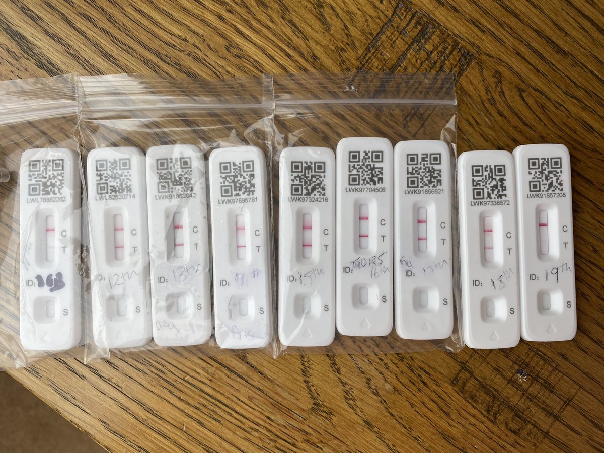 Deborah Louise Healy tweet media