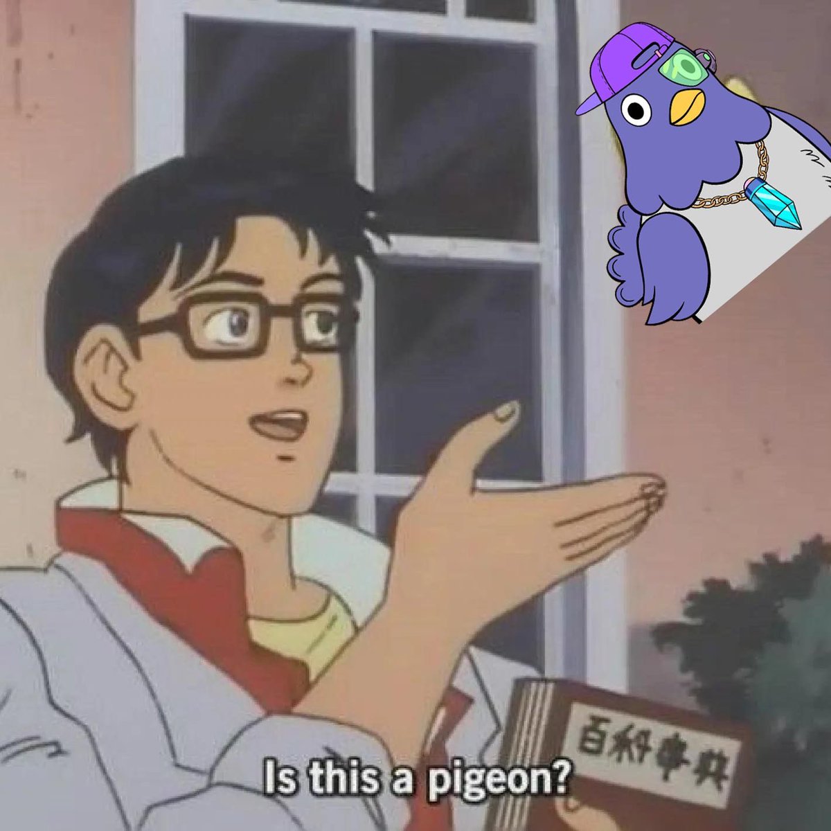 Our memes contest is starting now ! 