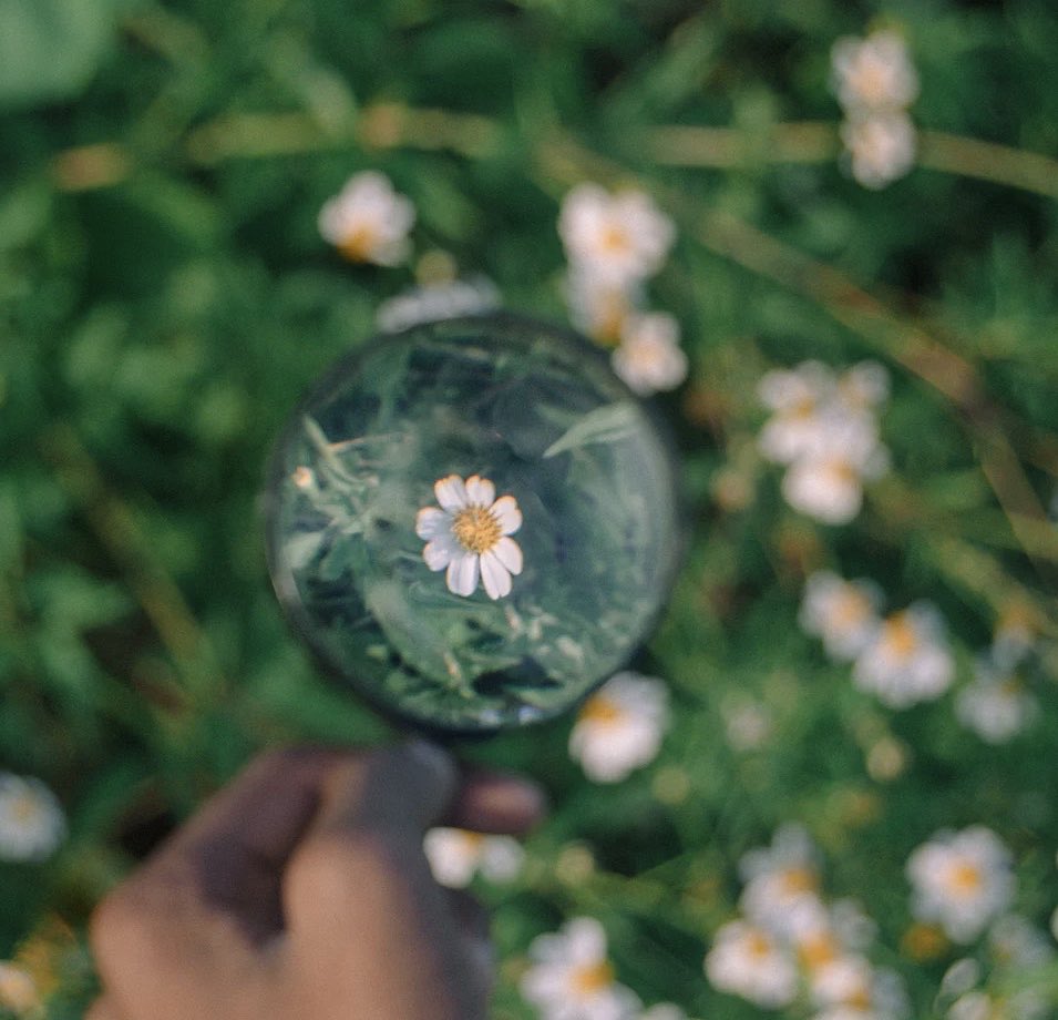 Think not of the amount to be done, the difficulties to overcome, or the end to be attained, but set earnestly at the little task at your elbow, letting that be sufficient for the day. Our plain duty is not to see dimly at a distance but to do what lies clearly at hand.(Wm Osler)