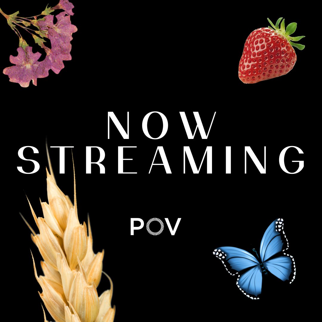 FruitsLaborFilm's tweet photo. Now streaming on @POVdocs, Fruits of Labor “is [a] deeply compassionate document of the human experience that just so happens to be an immigrant story.” - Austin American-Statesman. 

🍓Stream now: https://t.co/HaFZG1xX4N #FruitsOfLaborPBS https://t.co/m1yVn4ocjh