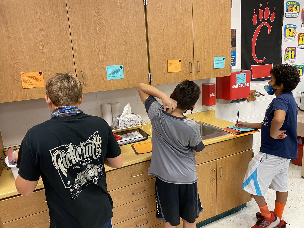 Denise Kushner tweet media