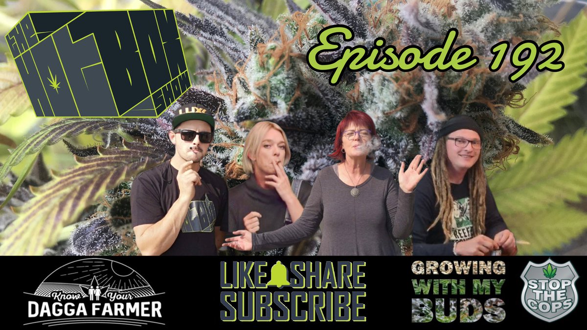 FieldsOfGreenFA's tweet photo. Tonight we discuss the idea of growing weed on Mars. We also look forward to chatting to Brenda from Qure
Subscribe to our channel https://t.co/hB4KAGhBx2
Support those that support legalization http:https://t.co/vZoKt8Y4SS
#KnowYourDaggaFarmer #ZolPoll #smoking #RateMyGrow https://t.co/uqMajXnmWI