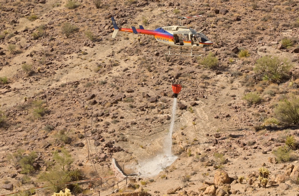 IFlyPapillon's tweet photo. #throwbackthursday #utilityhelicopter
π In desert environments, water catchments are set up to help the wildlife survive the heat. These catchments retain rainwater, but during droughts or in record heat temperatures, our Helicopters are used to artificially make it rain. ππ§π https://t.co/8QjtzCN8M9