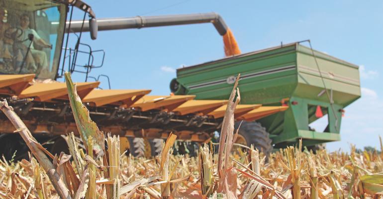 Farm Press (@farmpress) on Twitter photo 2021: A year of ups and downs. Agronomist Chet Chaney looks back at 2021, explains post-harvest steps to get right as producers plan for 2022. farmprogress.com/crops/learning… <a href="/GingerRowsey/">Ginger Rowsey</a> 2021: A year of ups and downs. Agronomist Chet Chaney looks back at 2021, explains post-harvest steps to get right as producers plan for 2022. farmprogress.com/crops/learning… <a href="/GingerRowsey/">Ginger Rowsey</a>