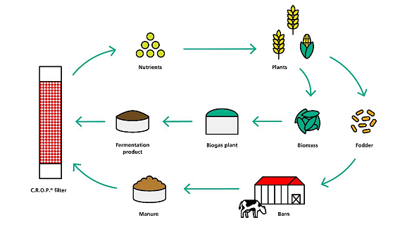DLR_en's tweet photo. #Biofilters originally designed for space are being used to convert farm ๐ฉ into high-quality fertilisers. ๐ฑ The C.R.O.P.ยฎ๏ธ method, developed at @DLR_de, can help make nutrient cycles sustainable & environmentally friendly on Earth. ๐ Learn more: https://t.co/VO3ECSQeRh https://t.co/kYRO92hnKC