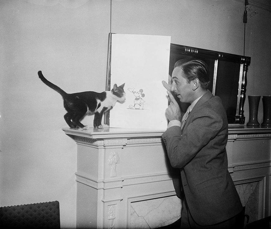 c_vollaire's tweet photo. Walt Disney showing a cat his Mickey Mouse drawing in 1931 https://t.co/1f8MCuWKEX
