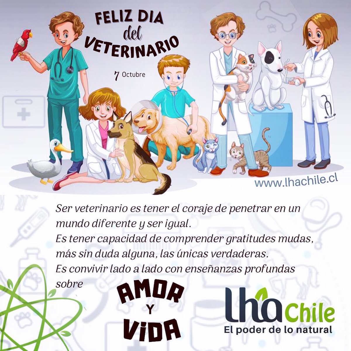 lha_chile's tweet photo. “Los veterinarios son los héroes de nuestras mascotas.”

¡𝐅𝐄𝐋𝐈𝐙 𝐃Í𝐀 𝐃𝐄𝐋 𝐕𝐄𝐓𝐄𝐑𝐈𝐍𝐀𝐑𝐈𝐎!

@colmevet @yoveterinarioof #vet #veterinaria #veterinario #veterinary #veterinarios #colmevet #colmevetchile #veterinarianlife #lifevet #vetlife #vetlife🐾 #vetlifestyle https://t.co/O2NZ4Jv59H