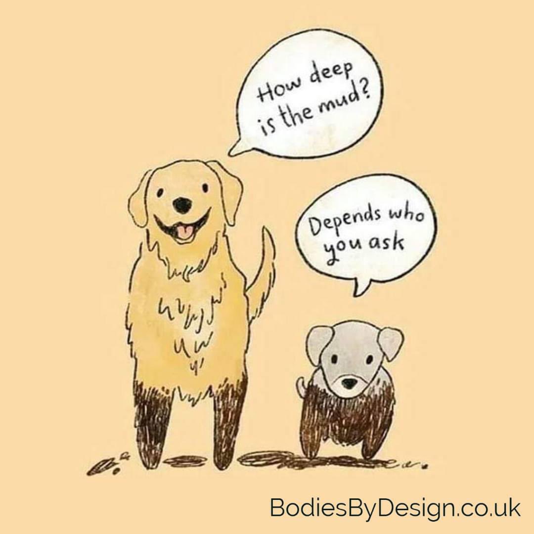 BodiesBy_Design's tweet photo. We all go through things differently.  
What’s worked for someone else won’t always work for you. But the opposite is also true. Just because someone else has struggled doesn't mean you will.

Check out our #weightloss programmes here: https://t.co/tDthvv7mnw

#weightlosstips https://t.co/FmvDVr5Zby
