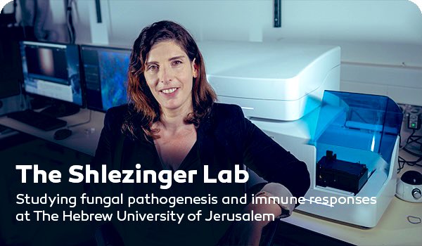 Zuckerman STEM Leadership Program (@stem_program) on Twitter photo Zuckerman Faculty Scholar <a href="/ShlezingerLab/">Neta Shlezinger</a>, Dr. Neta Shlezinger recently opened her Lab at the <a href="/HebrewU/">Hebrew University</a>, where she joined the Faculty of Agriculture, Food & Environment. The lab investigates fungal pathogenesis and immune responses. Watch youtu.be/ua2zTQgw4YU Zuckerman Faculty Scholar <a href="/ShlezingerLab/">Neta Shlezinger</a>, Dr. Neta Shlezinger recently opened her Lab at the <a href="/HebrewU/">Hebrew University</a>, where she joined the Faculty of Agriculture, Food & Environment. The lab investigates fungal pathogenesis and immune responses. Watch youtu.be/ua2zTQgw4YU