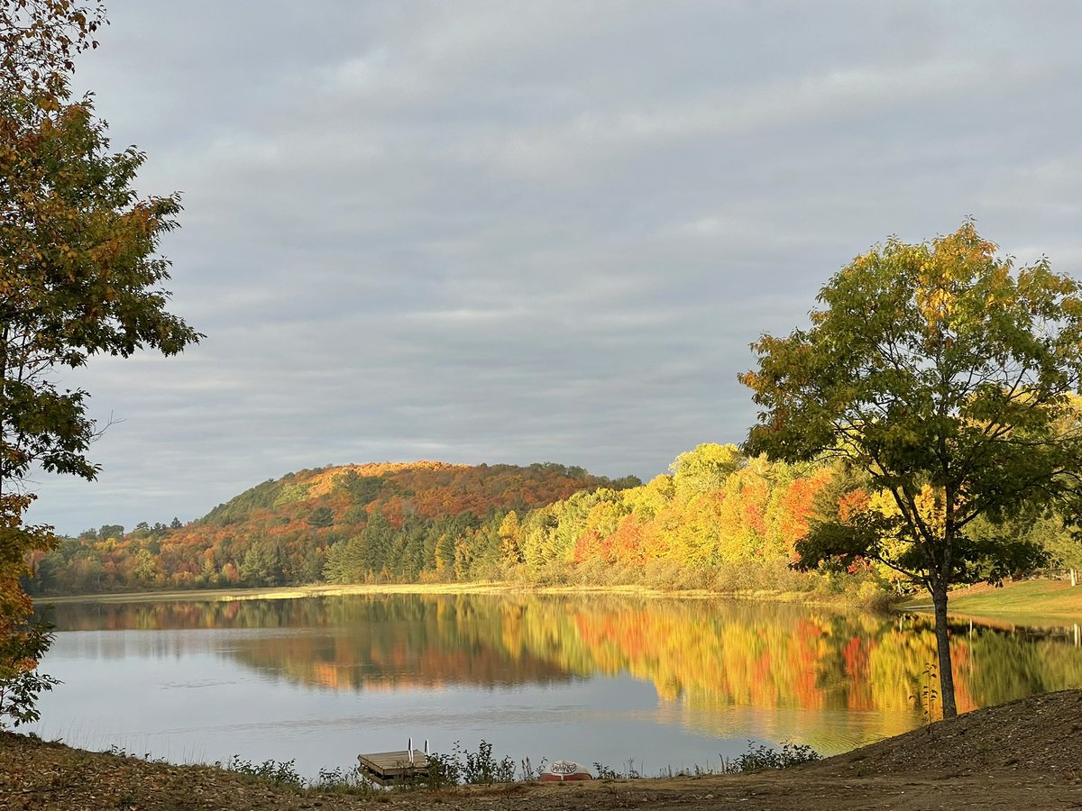 HaliburtonGreg's tweet photo. @YourMorning @SoniaMangatTV @LindseyDeluce @KelseyMcEwen 
Good Morning from beautiful Haliburton ON. https://t.co/vZDEVfhcx3