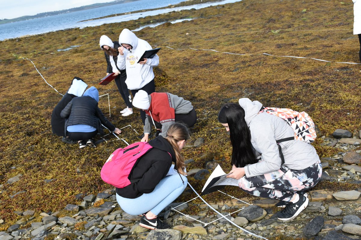 WcbScience's tweet image. Biology and Applied Science students enjoyed a great day out, sampling seaweed and various plant life, for their ecology investigation assignment.