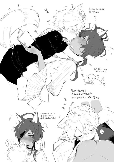 じゃれてるイヌ空くんのらくがき
※空ガイ♀ 